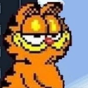 Meet your Posher, Fiona